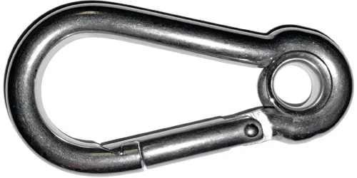 Stainless steel carbine with eye