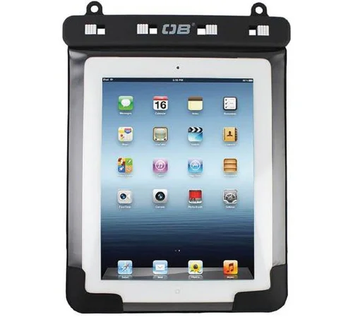 iPad bag